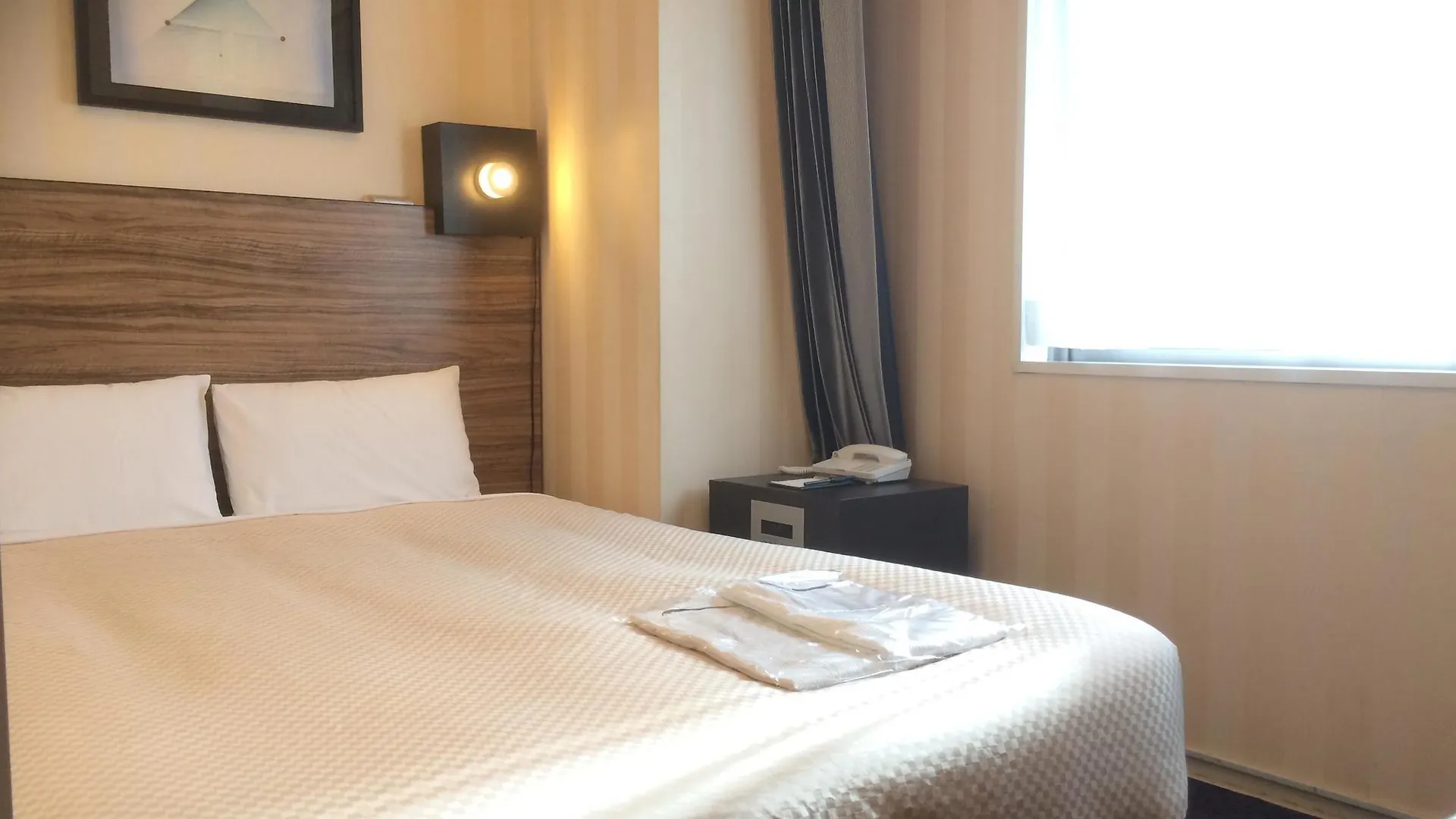 Hotel Villa Fontaine Tokyo-Nihombashi Hakozaki